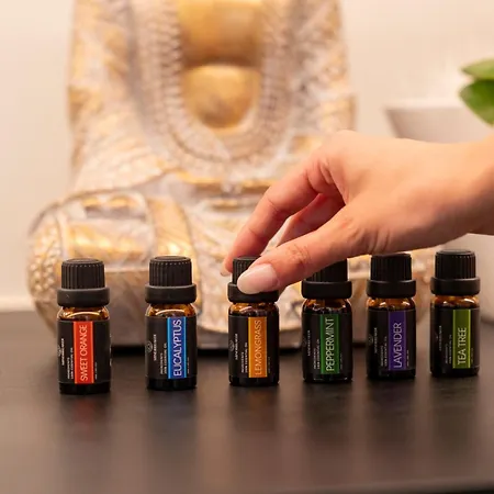 Pensión Wellness Smart 4*